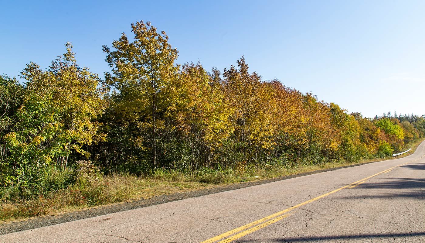 Immobilien Kanada - Grundstücksangebote - Eagle Cove Estates
