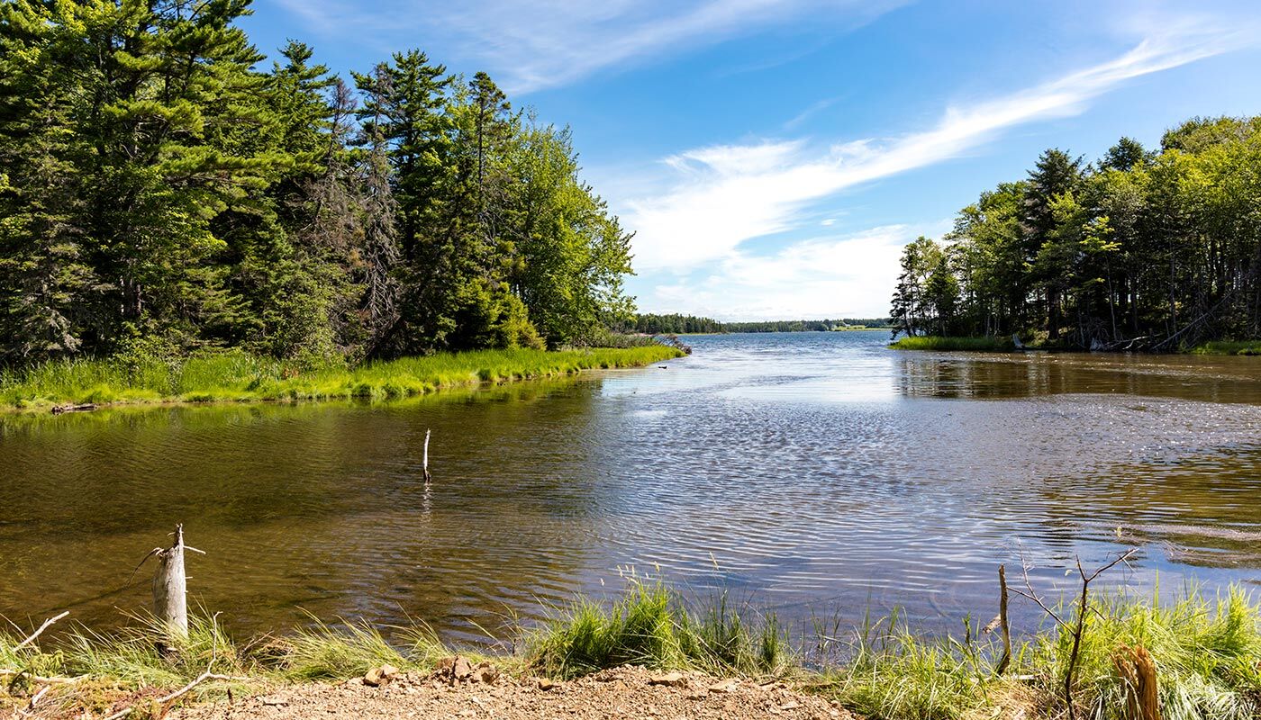Immobilien Kanada - Cape Breton Island Grundstücke -Beach Peninsula Estates Lot 49