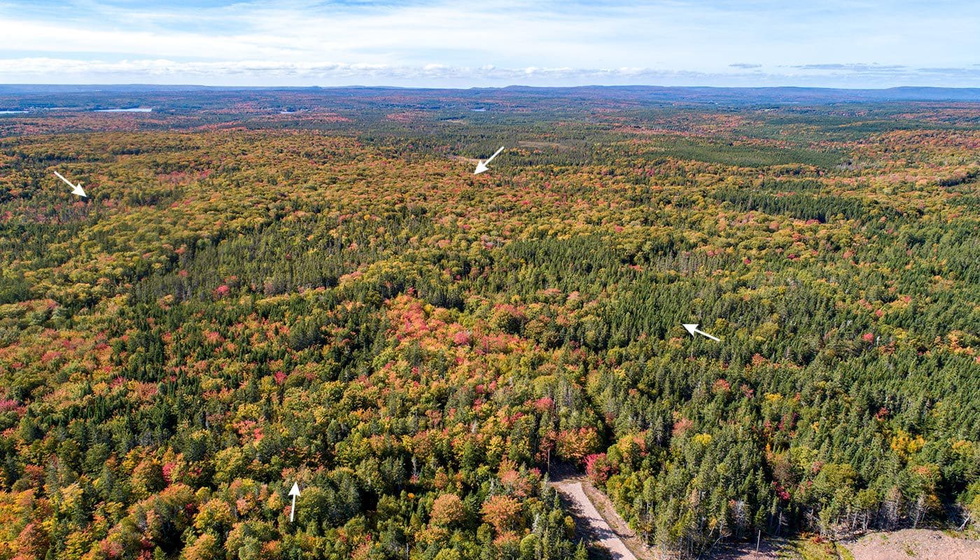 Immobilien Kanada - Nova Scotia - Canada Jay Estates