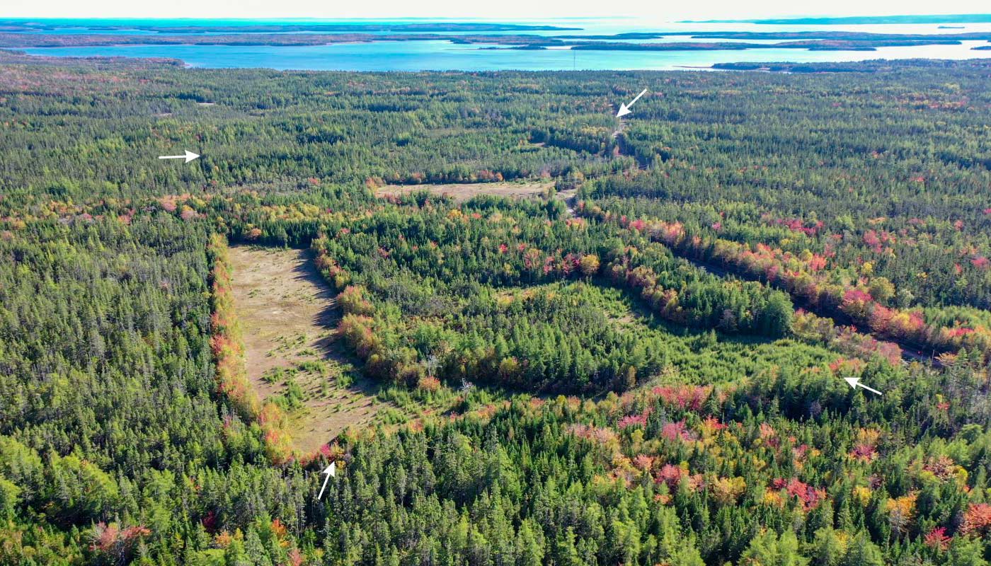 Immobilien-Cape Breton-Hobby Farm Estates
